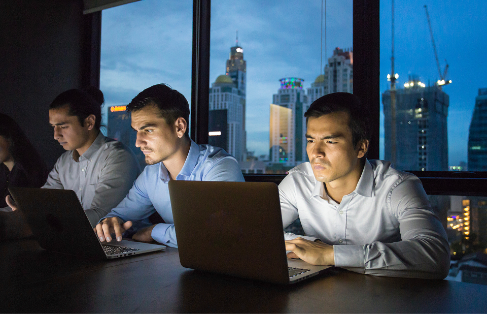 Web development